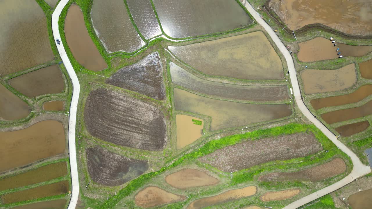 hermoso vuelo de avión no tripulado sobre campos de arroz llenos de agua en japón