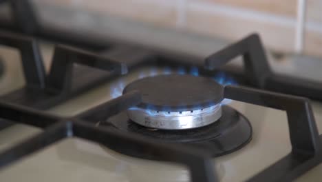 un primer plano de un fuego azul de una estufa de cocina doméstica. una cocina de gas con llamas ardientes de gas propano.