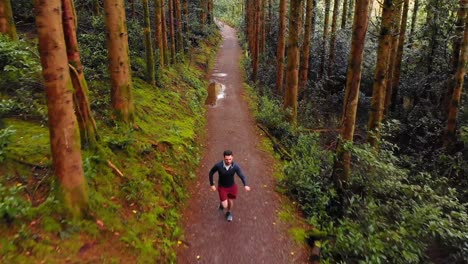 man jogging on a pathway in forest 4k