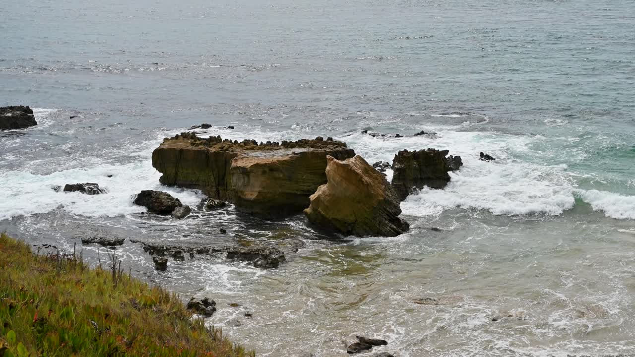 Un gruppo di leoni marini si crogiola su un affioramento roccioso lungo la costa della California, mentre le onde del Pacifico si infrangono sulla riva, visti da una scogliera costiera