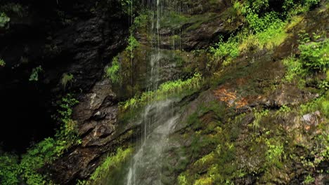 Limpia-Pequeña-Cascada-En-El-Bosque.-Hermosa-Naturaleza-Paisaje-Natural-De-Noruega.