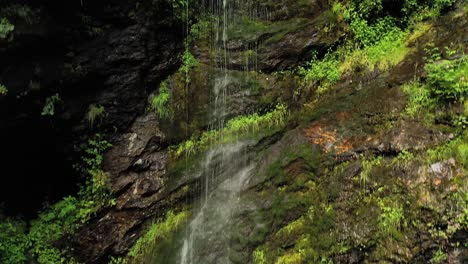clean small waterfall in the forest. beautiful nature norway natural landscape.