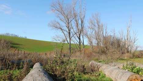 Umgestürzte-Baumstämme-Und-Ein-Blick-Auf-Eine-Graslinie,-Die-Sich-In-Starkem-Wind-Und-Bäumen-In-Der-Mährischen-Toskana-An-Einem-Windigen-Tag-Bewegt,-Aufgenommen-In-4k-60fps-Zeitlupe