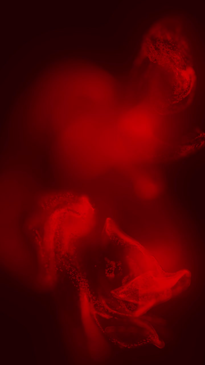 Sfondo verticale di fumo rosso scuro che vortica lentamente, creando un'atmosfera suggestiva e misteriosa per storie