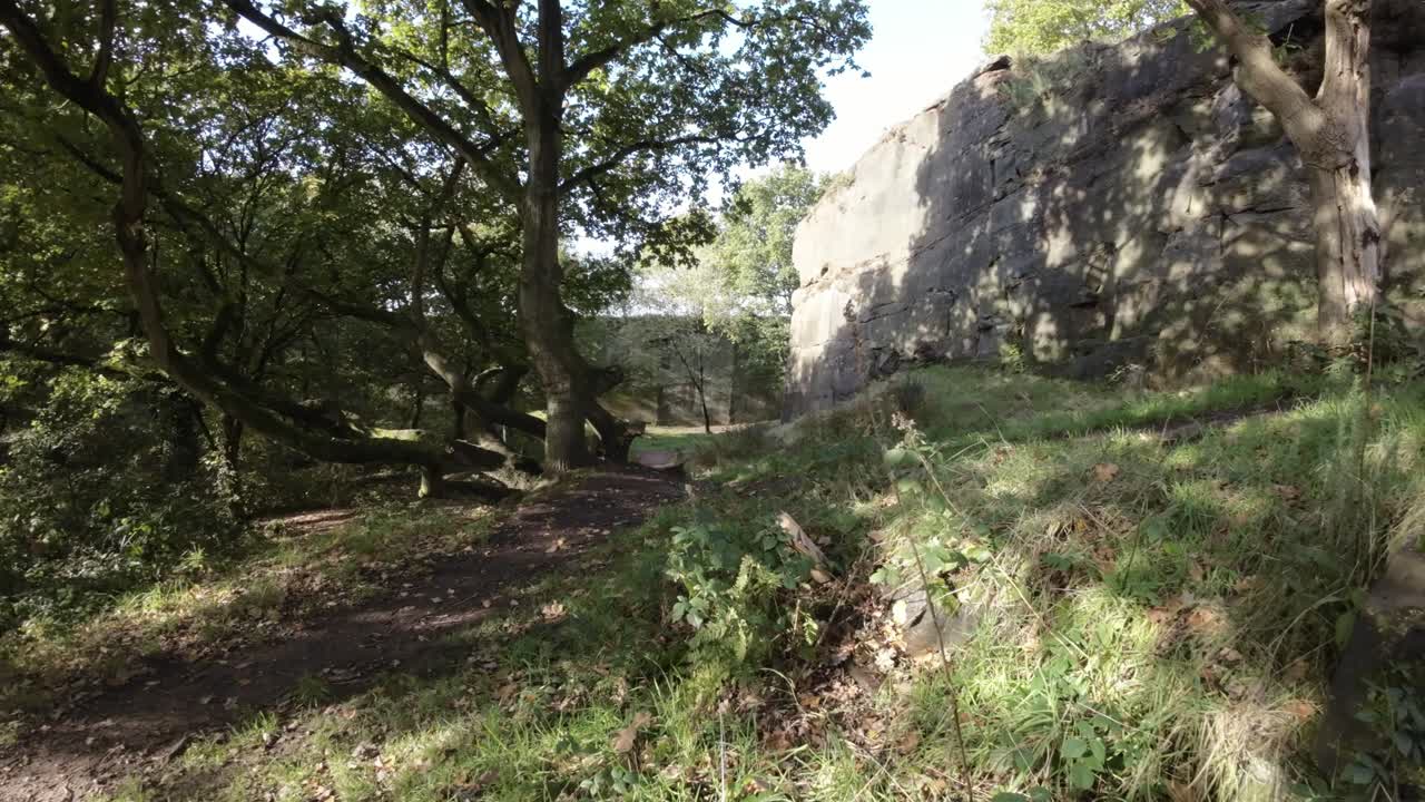 fpv drone tejiendo a través de un denso camino de bosque de cantera con la luz del sol brillando a través de los árboles y el follaje