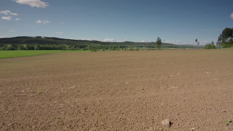 8 week timelapse zoom in from tilled field to lush green crops