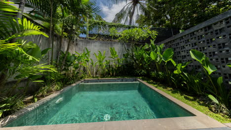 a small luxury swimming pool in a tropical garden