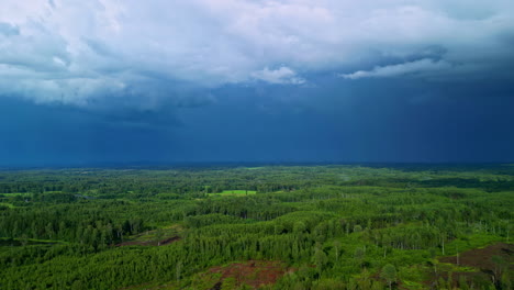 A-drone-flies-over-a-green-forest-as-blue-grey-storm-clouds-roll-in