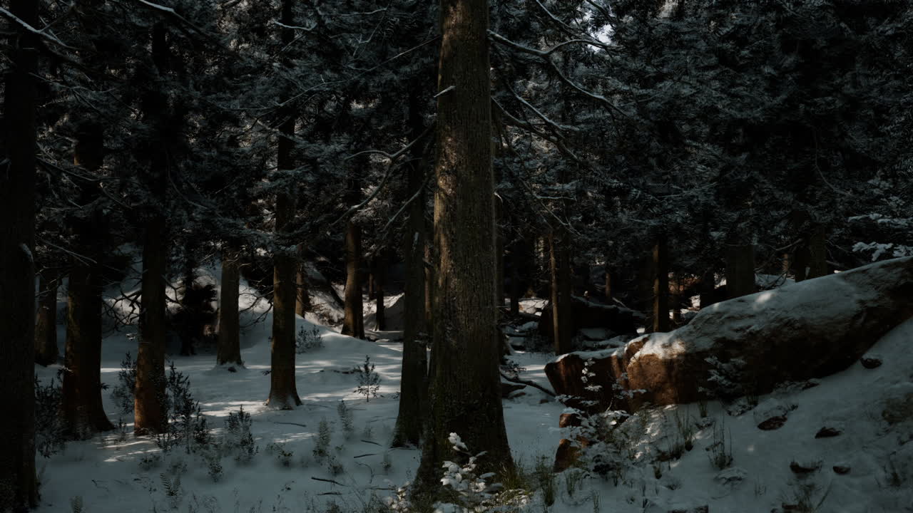 A serene winter forest draped in fresh snow and illuminated by soft light