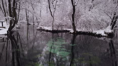 Famous-blue-springs-water-source-natural-reserve-in-Poland