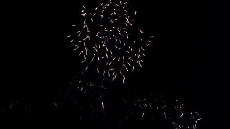 colorido espectáculo de fuegos artificiales por la noche en el fondo del cielo