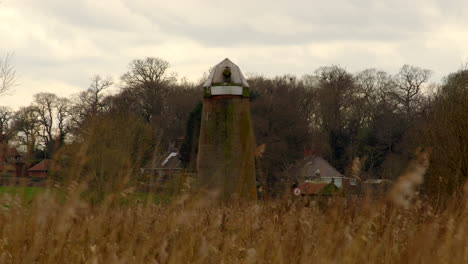 długie ujęcie patrząc przez trzciny w bezpośrednim norfolk broads wiatrak pompa wody na rzece mrówka w pobliżu ludham most