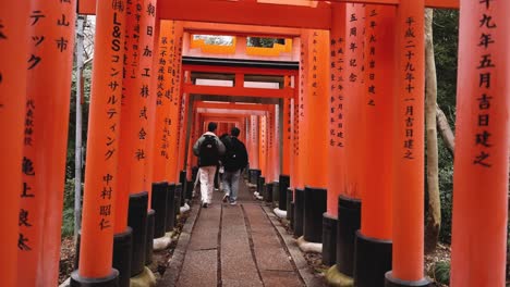 people walking under traditional japanese torii gates