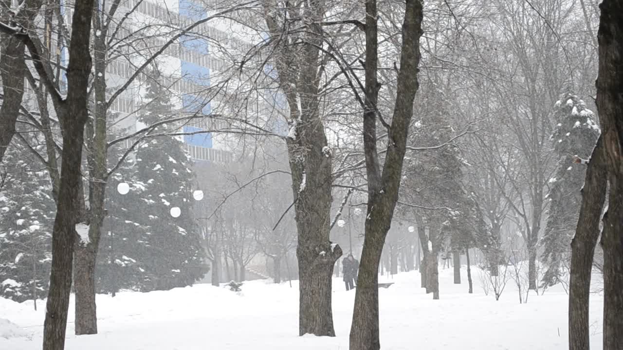 snøstorm