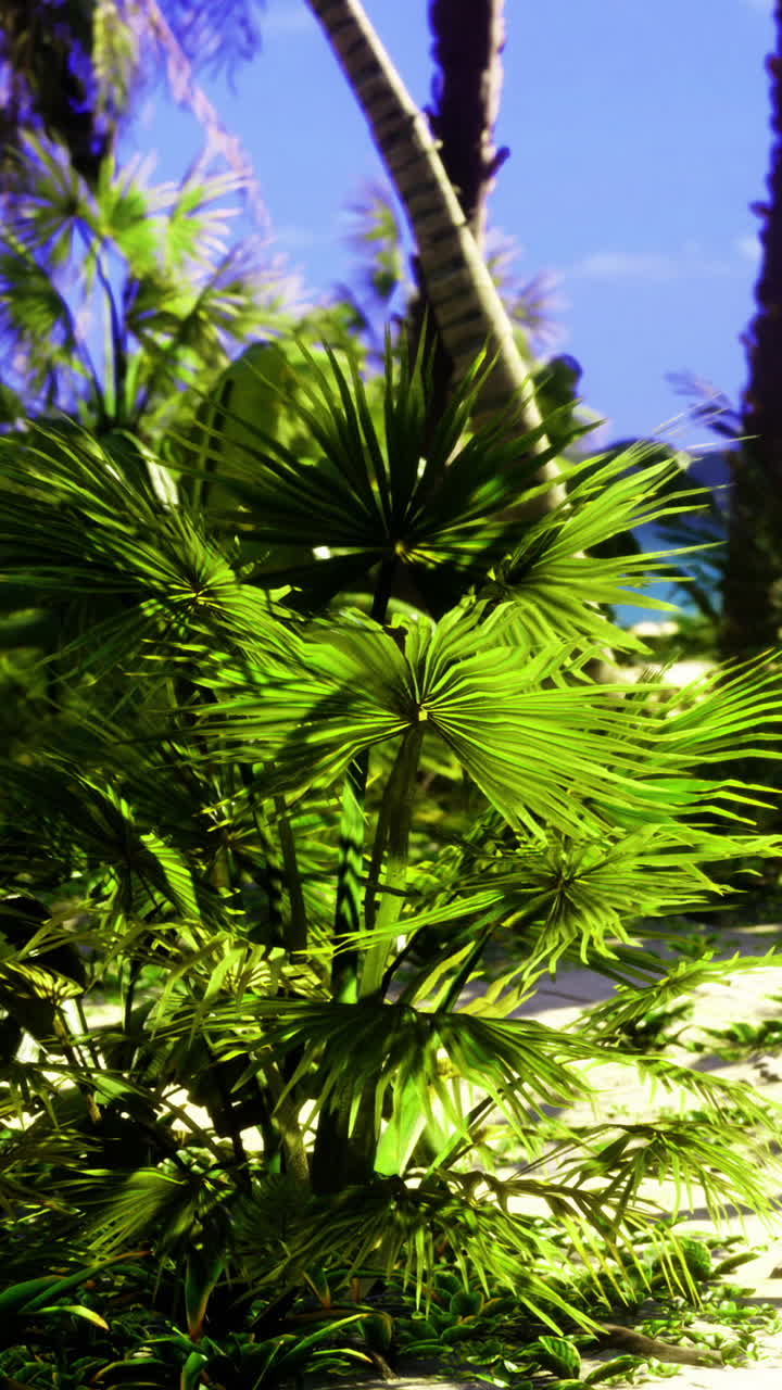 Lush tropical greenery overlooking a serene ocean view at midday