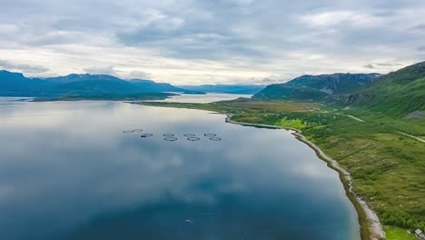 aerial footage farm salmon fishing in norway