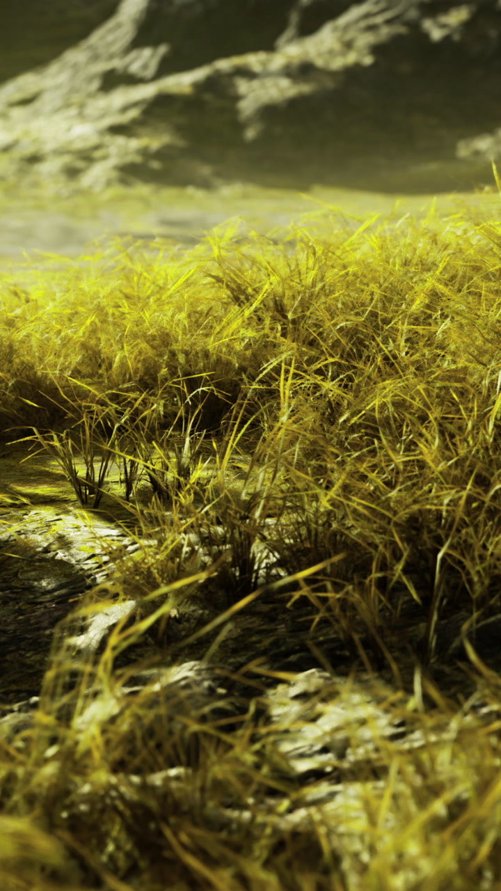 Green grass covers the ground near a river under a bright blue sky
