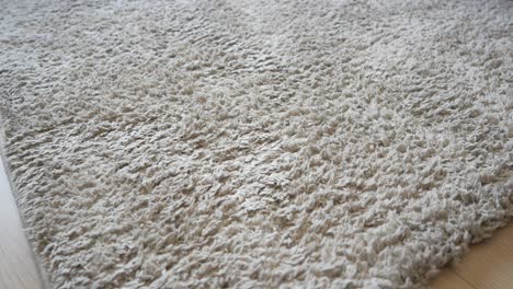 close-up of a beige shag carpet