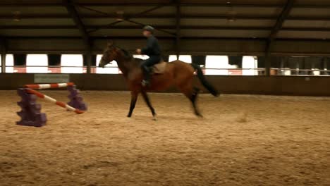 man riding horse around paddock