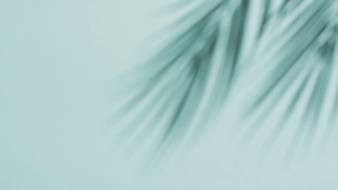 Animation of shadow of palm tree leaves moving with copy space over blue background