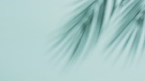 animation of shadow of palm tree leaves moving with copy space over blue background
