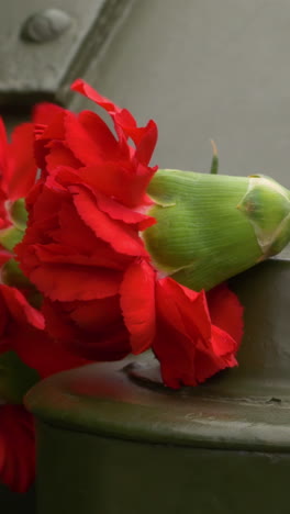 red carnation on a tank