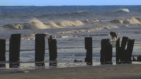 Playa-Locura,-Carolina-Del-Sur