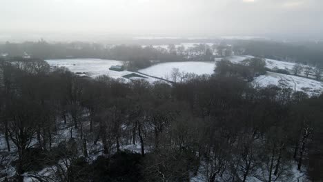 english forest essex  snow covered frozen bare trees fields in background  aerial pan 4k.
