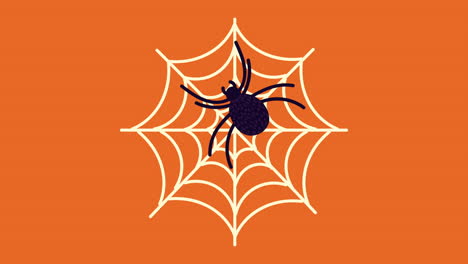 happy halloween animation with spider