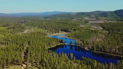 lago tranquilo con reflejo y vegetación exuberante en dalarna, suecia - toma aérea de drones