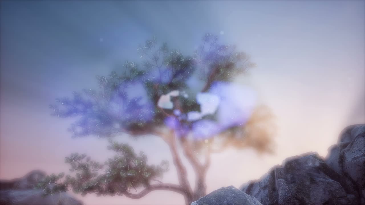 나무들을 가로지르는  ⁇ 빛