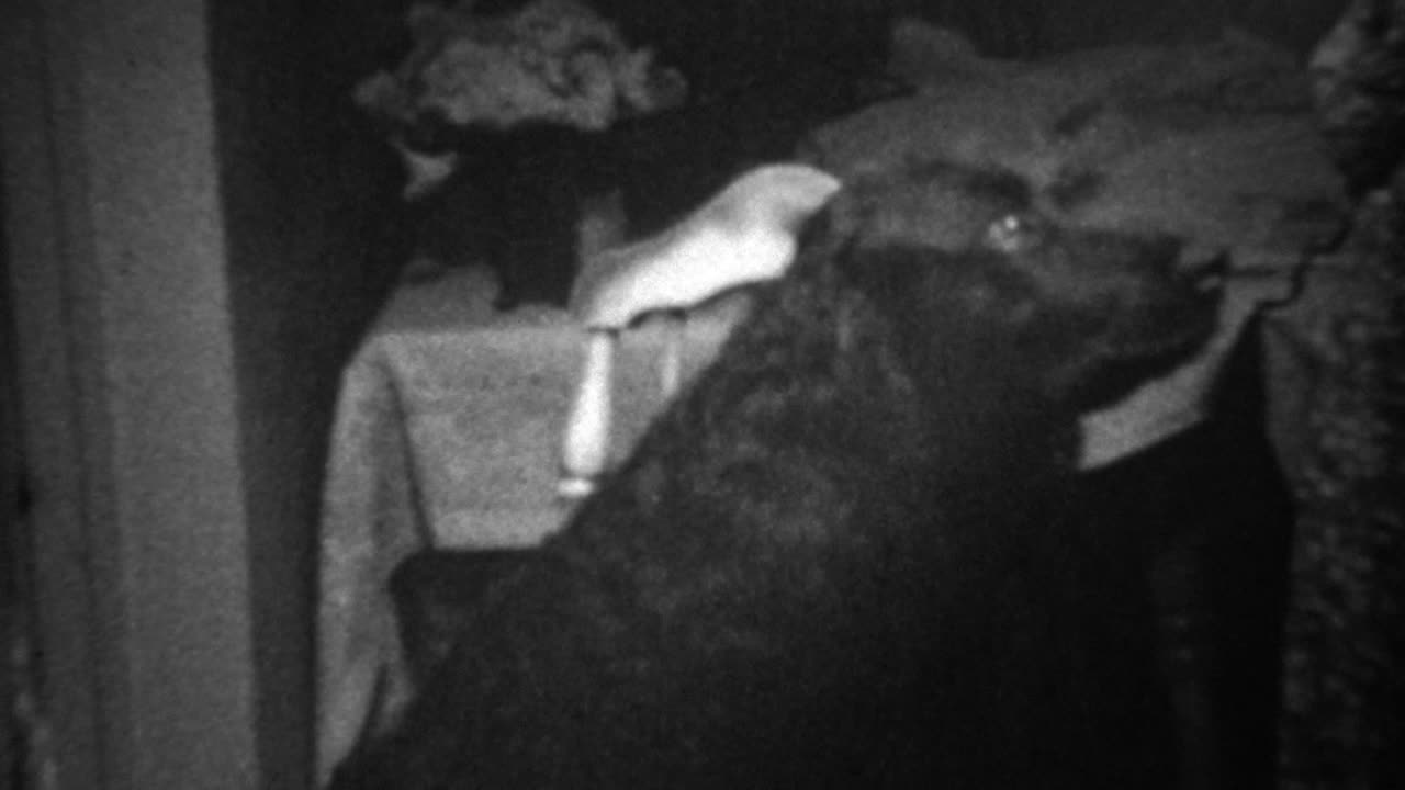 1939: perro negro avergonzado con el periódico sombrero tonto tiempo de espera.