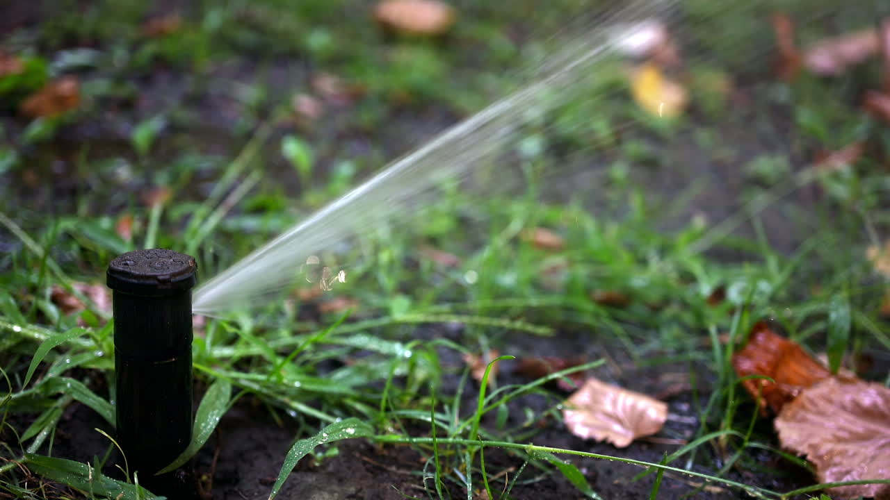 Water sprinkler in action, spraying water across grass and plants