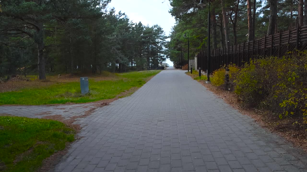 Gray poppy stone road leading to Vääna Jõesuu beach during autumn time with cloudy weather. Green and brown Bushes, pine and spruce trees on the sides with short green grass growing on the side.