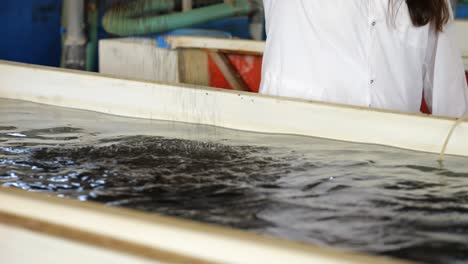 scientist adding fish food to water tank in aqua farming facility