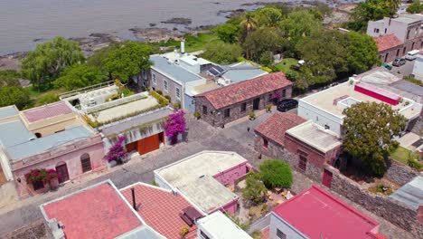 Vista-Aérea-Del-Carro-De-Calles-Adoquinadas-Con-Flores-Y-árboles-Abundantes-Con-La-Arquitectura-Antigua-Y-Representativa-De-La-Colonia-Del-Sacramento,-Uruguay