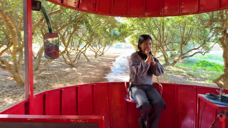 person speaking on tram in scenic park