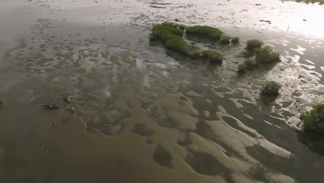 aerial flyover of cockle bay in freetown sierra leone during the sunrise, with people walking through the water and clouds reflecting.