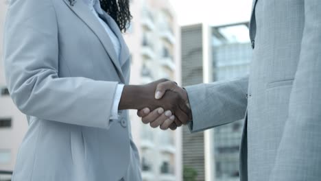 closeup shot of business handshake