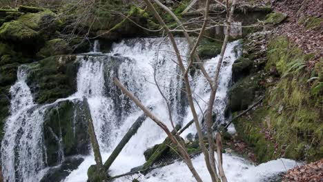 Izvir Bistrice the natural source of Bohinj River. The stream flowing through the Bohinjska Bistrica river gets its water from the lower Bohinj mountains.