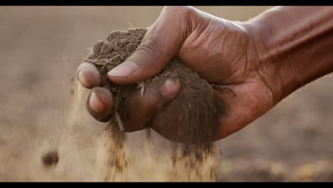 agricultor inspeccionando el suelo