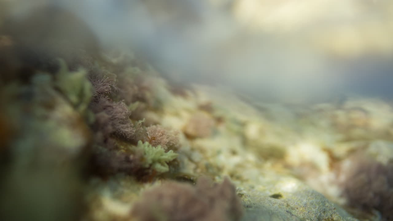 medio bajo el agua 09