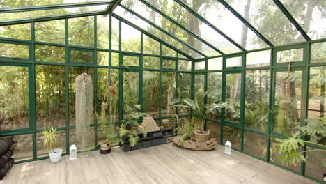 glass house with lush plants, perfect for yoga and meditation sessions, copy space