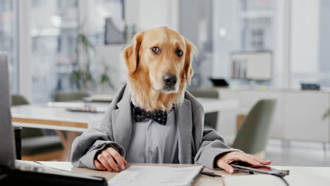 dog in a suit working in an office