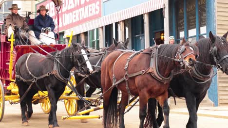 carriage ride through historical ballarat, victoria