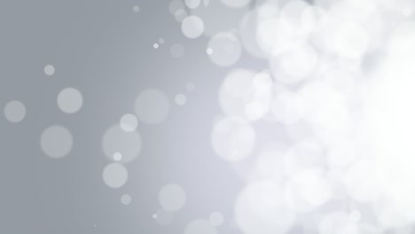 bokeh blanco y plateado de mosca con partículas en un fondo brillante