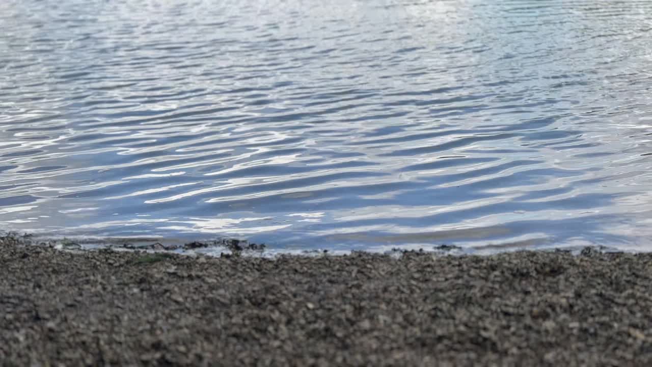 Close-up footage captures gentle water ripples meeting a textured, dark shoreline. Ideal for themes of nature's edge, tranquility, boundaries, or a serene water background.