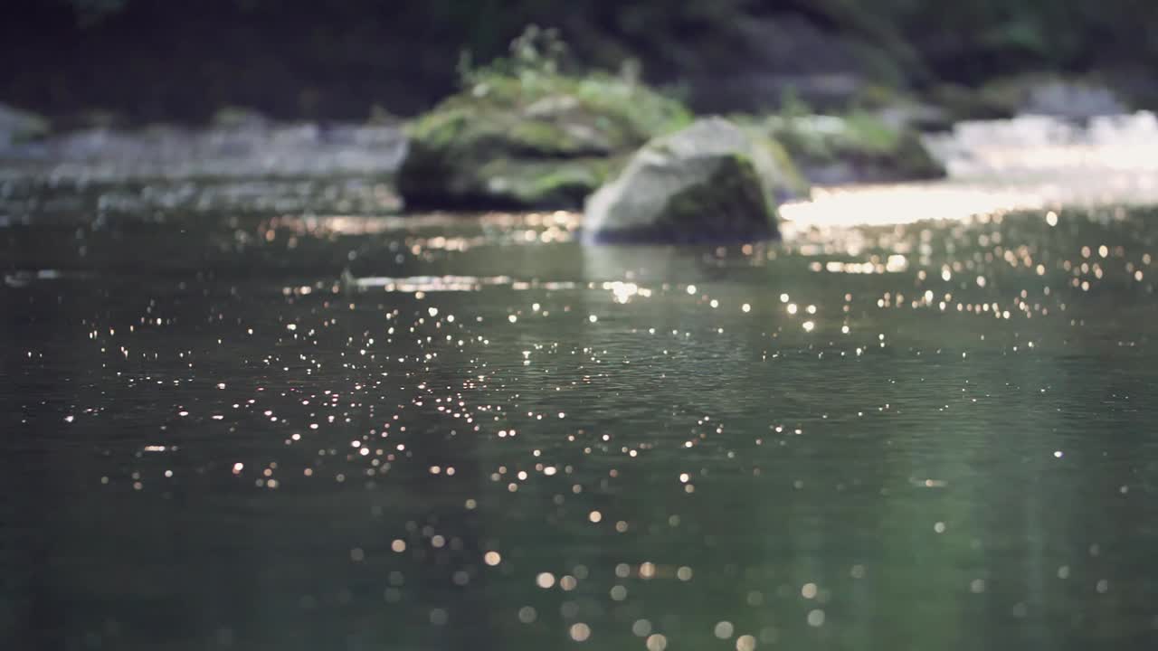 ⁇ 빛 으로 반 ⁇ 이는 하천 물 의 느린 움직임, 뒤 에 있는 모스 로운 바위