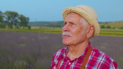 Porträt-Eines-älteren-Landwirts,-Der-Großvater-Auf-Einem-Biofeld-Mit-Violetten-Lavendelblüten-Züchtet