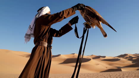 falconer with falcon in the desert